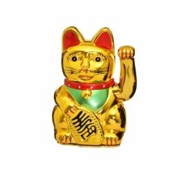 Gato llama dinero